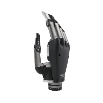 ortho8